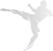 The World MMA Awards Logo